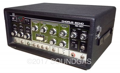 Roland RE-301 Chorus Echo 220v