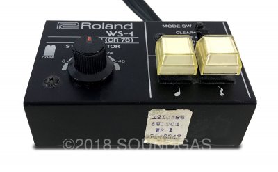 Roland WS-1 Writing Switch