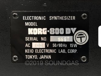 Korg Maxi-Korg 800DV