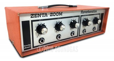 Hornby Skewes Zenta Zoom ZE-2 Reverb