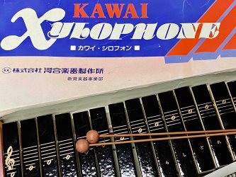 Toy Store: Kawai Wooden Xylophone
