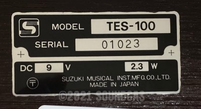 Suzuki TES-100 Waraku Koto Synth