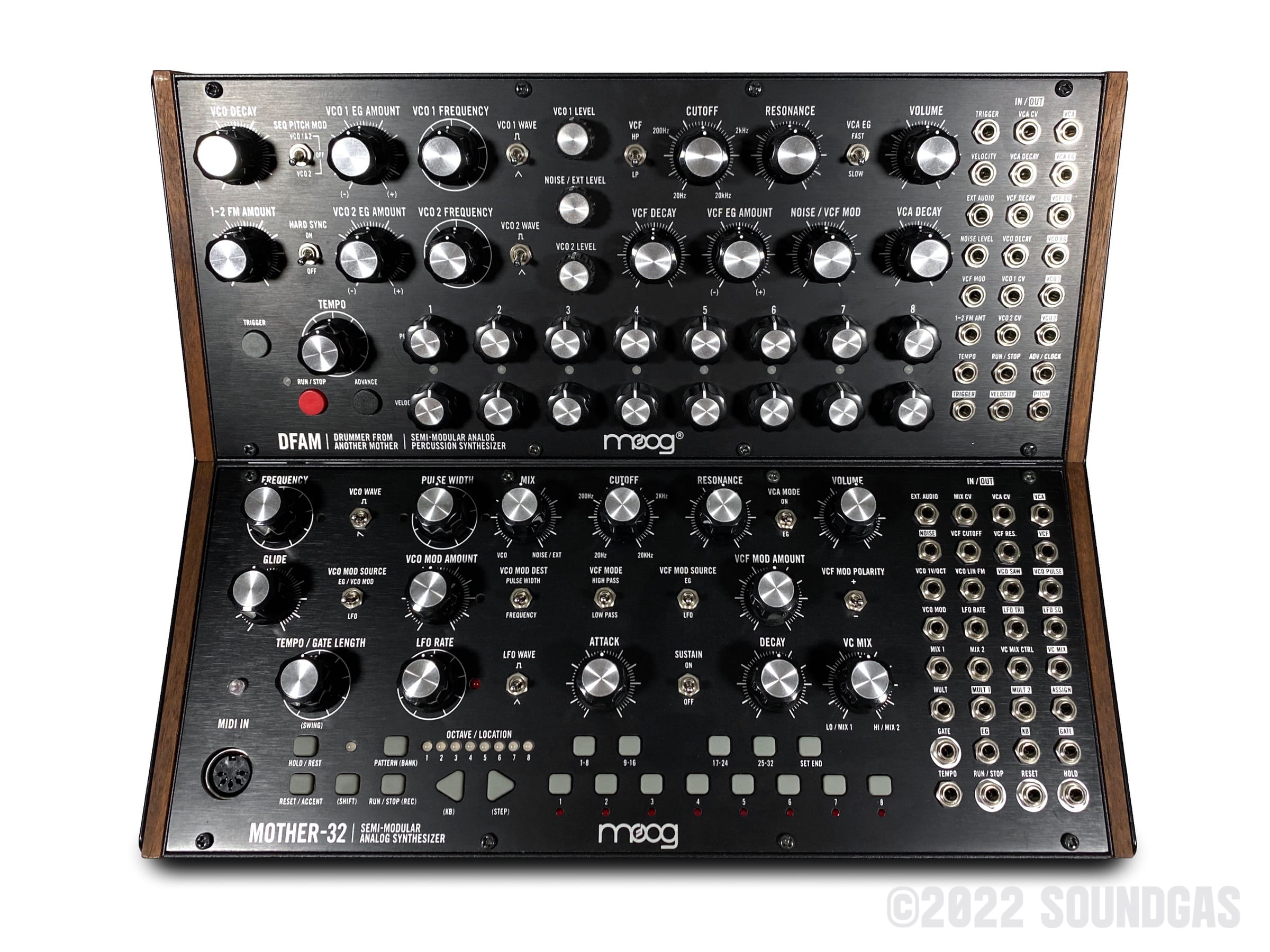 Moog Mother-32 & DFAM FOR SALE - Soundgas