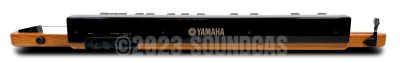 Yamaha SHB-30 Bass Violyre Taishogoto