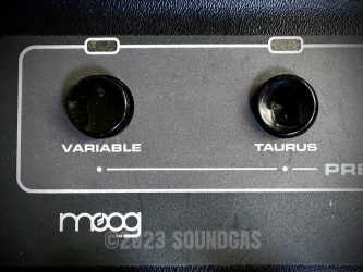 Moog Taurus Bass Pedals